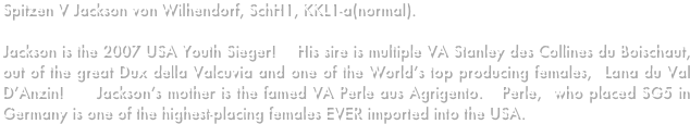 Spitzen V Jackson von Wilhendorf, SchH1, KKL1-a(normal).

Jackson is the 2007 USA Youth Sieger!    His sire is multiple VA Stanley des Collines du Boischaut,  out of the great Dux della Valcuvia and one of the World’s top producing females,  Lana du Val D’Anzin!     Jackson’s mother is the famed VA Perle aus Agrigento.   Perle,  who placed SG5 in Germany is one of the highest-placing females EVER imported into the USA. 