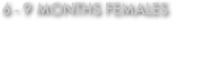 6 - 9 months females
(This was one of the biggest classes of the show.)
Puppy Siegerin VP 1
Josie von Wilhendorf