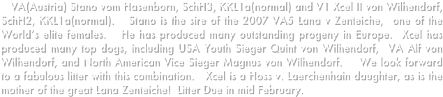    VA(Austria) Stano vom Hasenborn, SchH3, KKL1a(normal) and V1 Xcel II von Wilhendorf, SchH2, KKL1a(normal).   Stano is the sire of the 2007 VA5 Lana v Zenteiche,  one of the World’s elite females.   He has produced many outstanding progeny in Europe.  Xcel has produced many top dogs, including USA Youth Sieger Quint von Wilhendorf,  VA Alf von Wilhendorf, and North American Vice Sieger Magnus von Wilhendorf.    We look forward to a fabulous litter with this combination.   Xcel is a Hoss v. Laerchenhain daughter, as is the mother of the great Lana Zenteiche!  Litter Due in mid February.  
