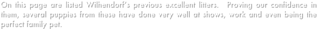 On this page are listed Wilhendorf’s previous excellent litters.  Proving our confidence in them, several puppies from these have done very well at shows, work and even being the perfect family pet.