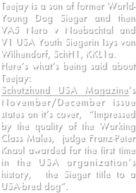Teejay is a son of former World-Young Dog Sieger and then VA5 Nero v Noebachtal and V1 USA Youth Siegerin Isys von Wilhendorf, SchH1, KKL1a.   
Here’s what’s being said about Teejay:
Schutzhund USA Magazine’s November/December issue states on it’s cover,  “Impressed  by the quality of the Working Class Males,  judge Franz-Peter Knaul awarded for the first time in the USA organization’s history,  the Sieger title to a USA-bred dog”.  